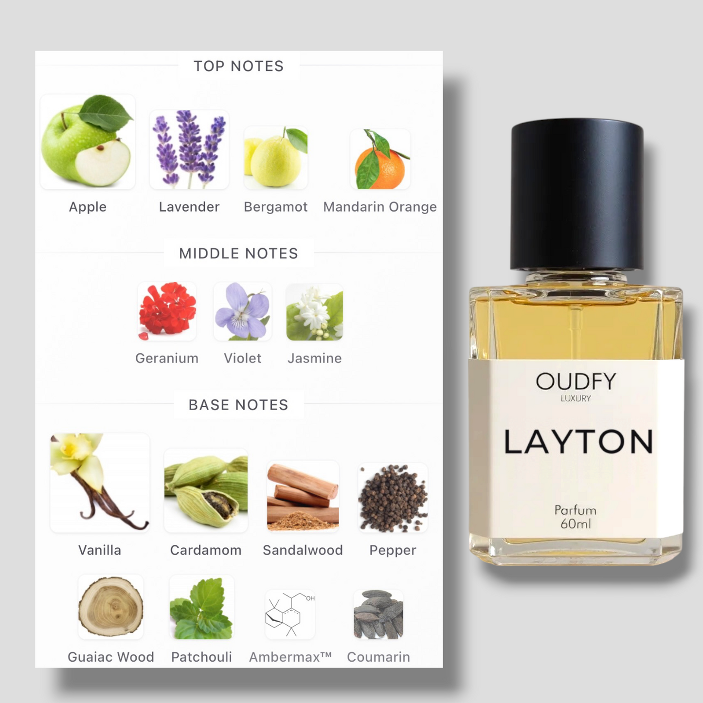 LAYTON | 60ml