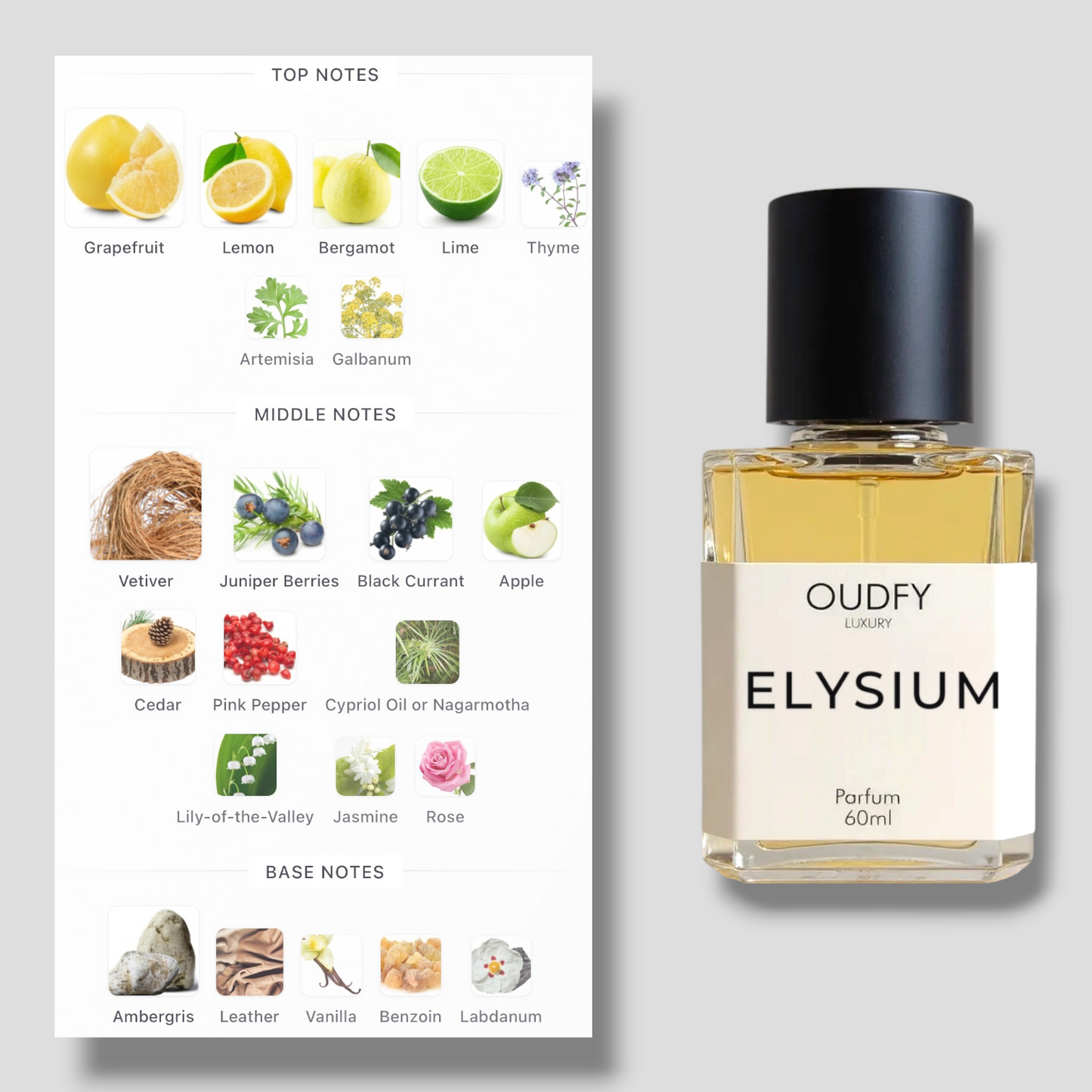 ELYSIUM | 60ml