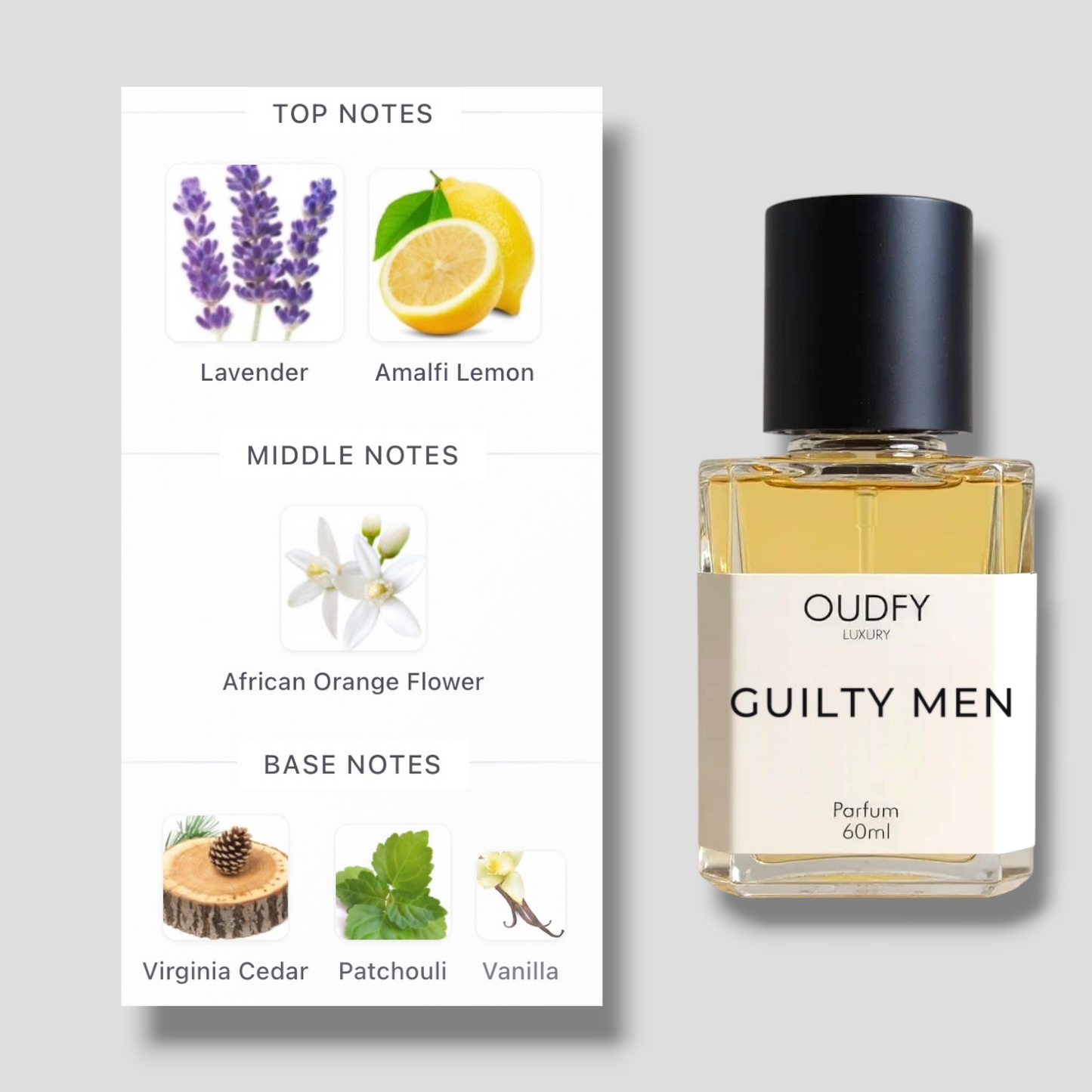 GUILTY MEN | 60ml
