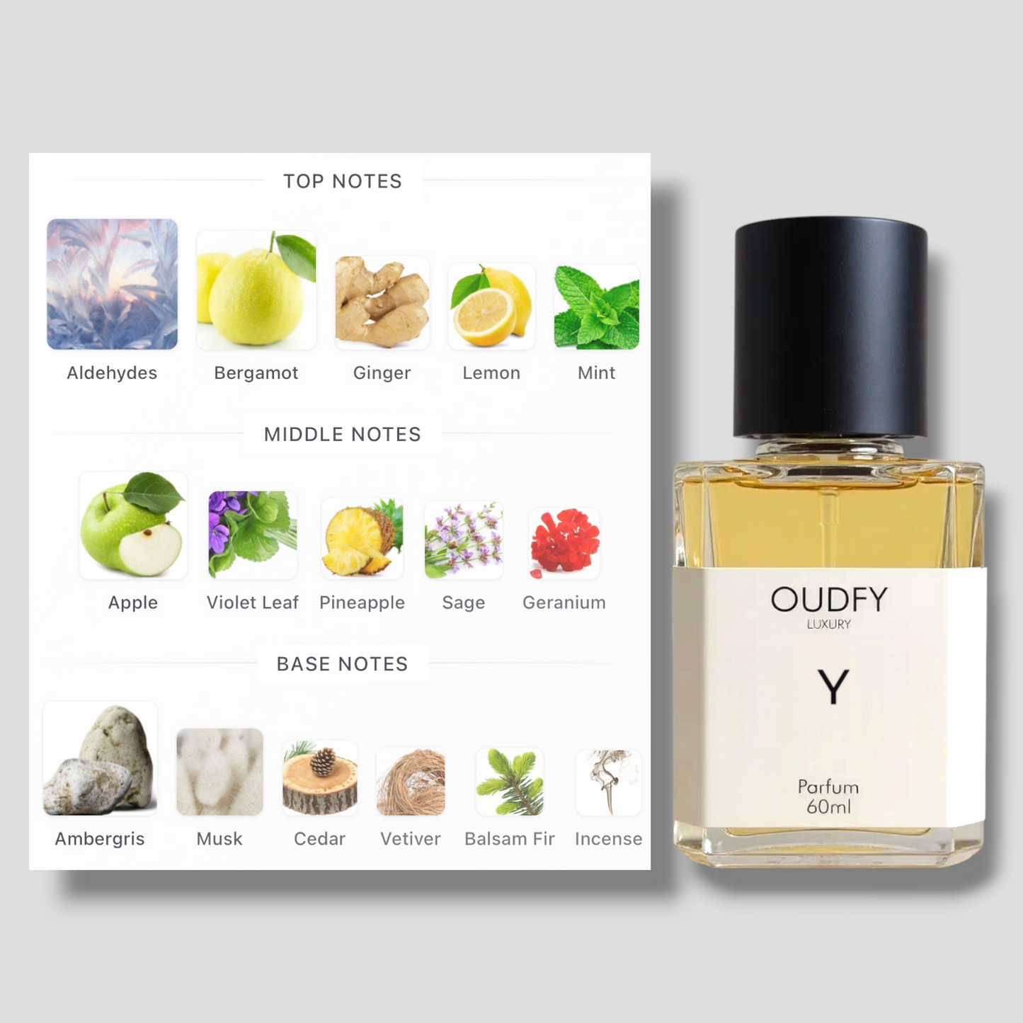 Y | 60ml